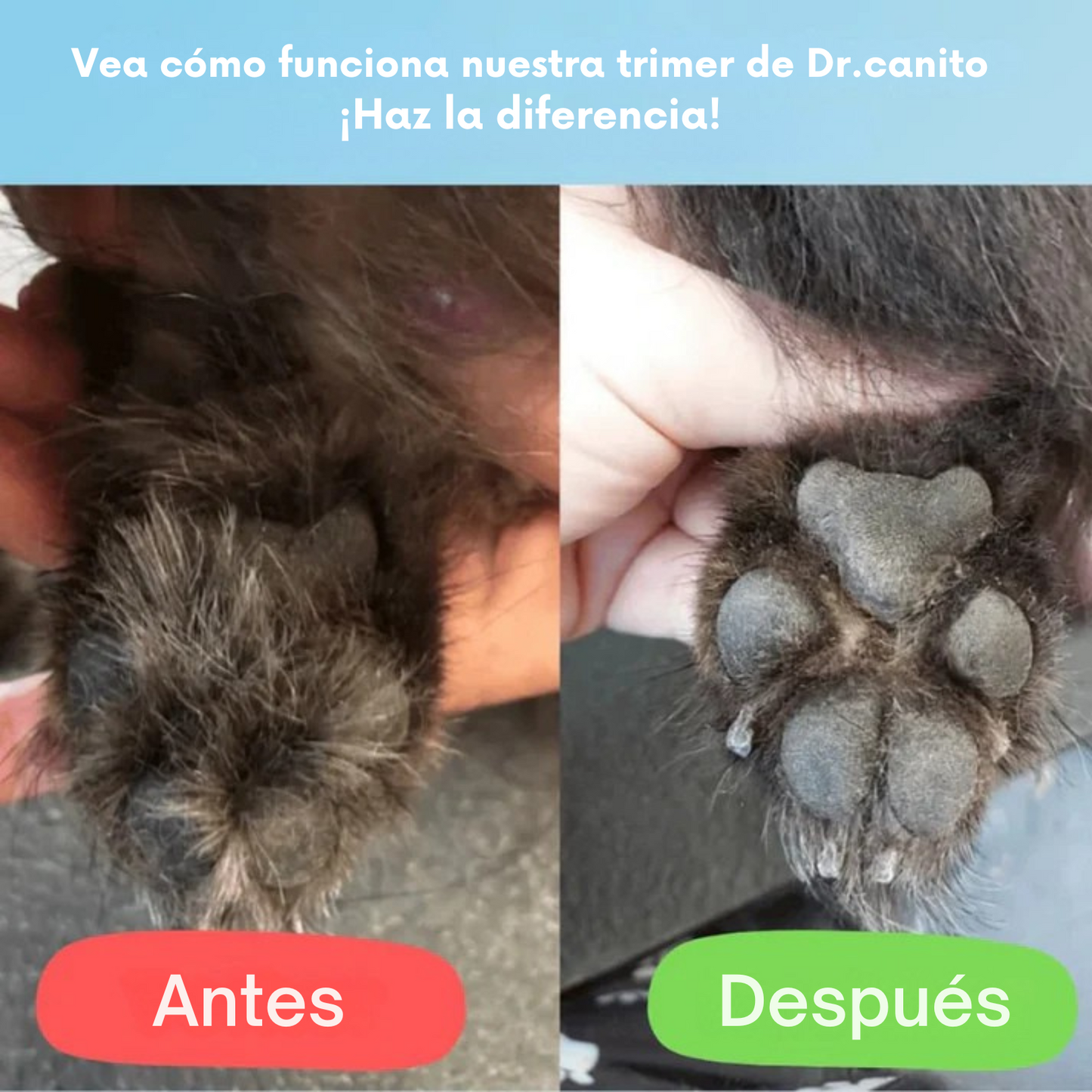 Trimmer Dr. Canito™ - Patas suaves y bien cuidadas