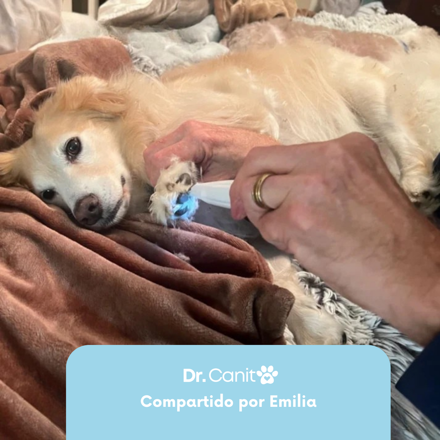 Trimmer Dr. Canito™ - Patas suaves y bien cuidadas