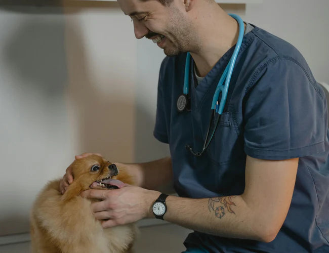 Recomendado por veterinarios, querido por las mascotas.